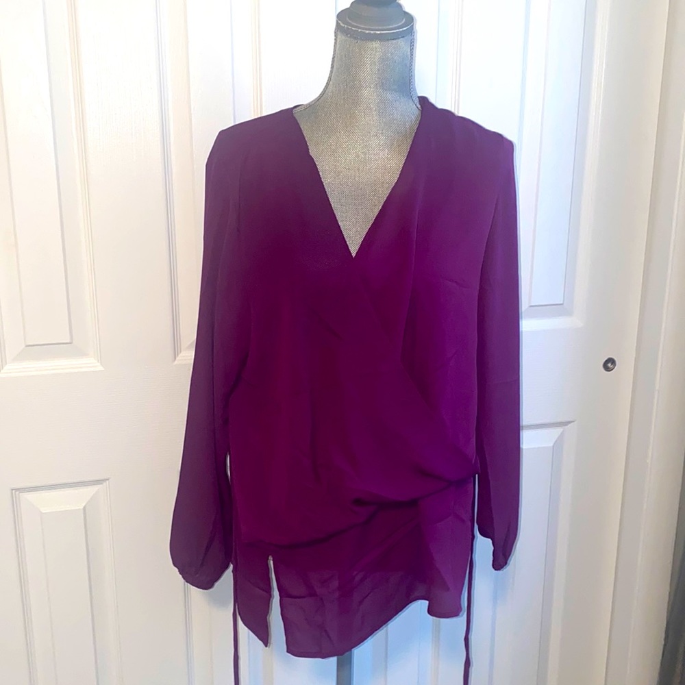 Venus Purple Sheer Blouse